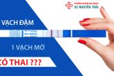 Que thử thai 1 vạch đậm 1 vạch mờ: Có thai hay không?