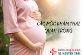 Các mốc khám thai quan trọng các bố – mẹ bầu không thể bỏ qua!